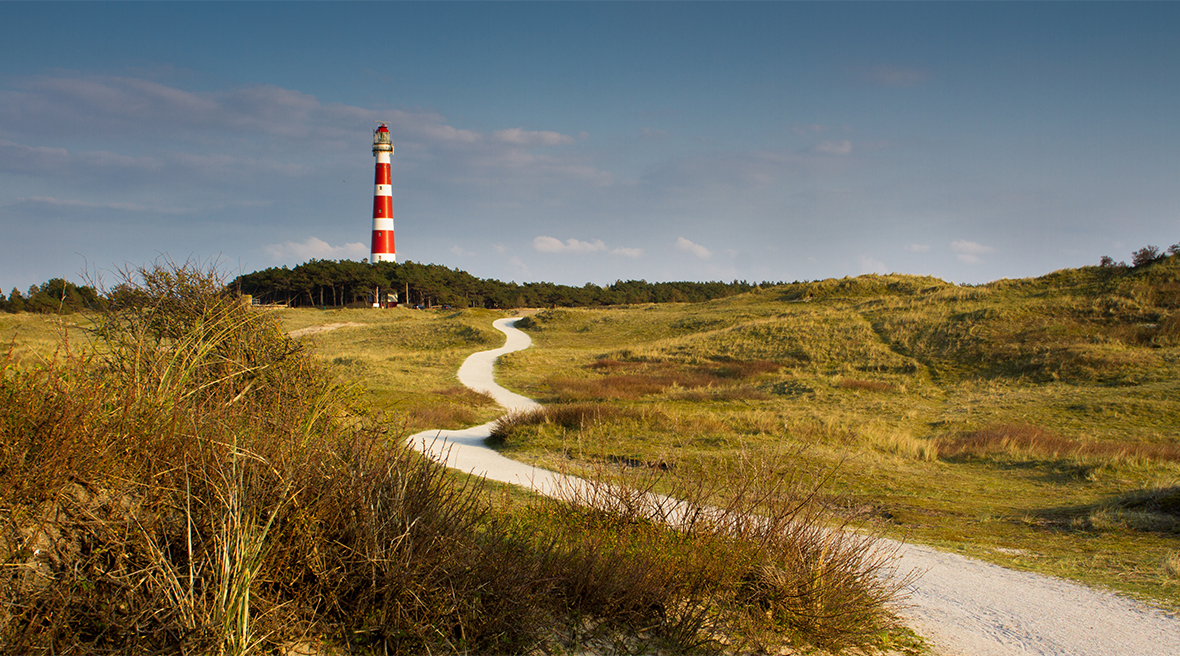 Path leading through the dunes towards vuurtoren, lighthouse of Ameland